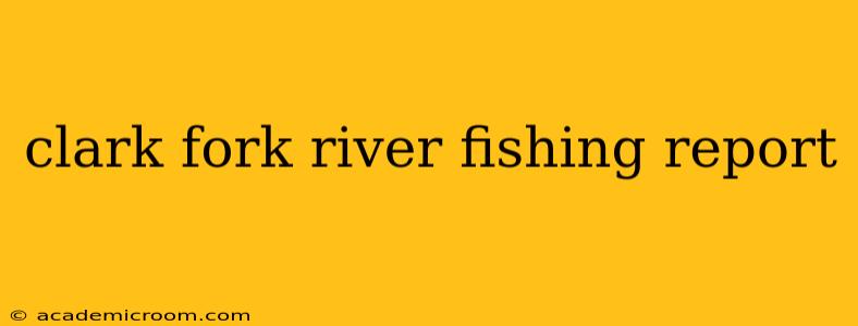 clark fork river fishing report