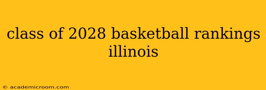 class of 2028 basketball rankings illinois