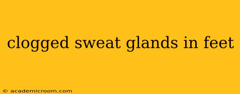 clogged sweat glands in feet