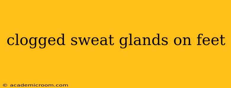clogged sweat glands on feet