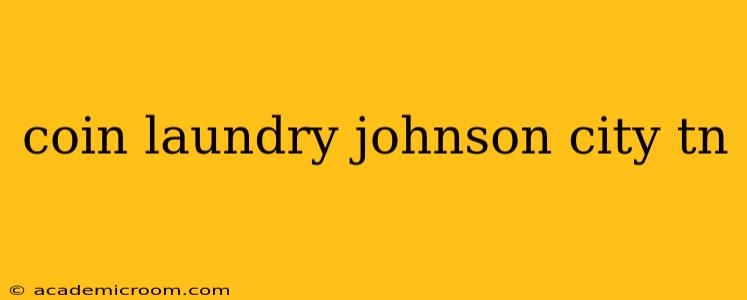 coin laundry johnson city tn