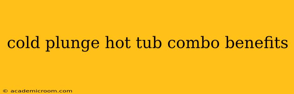 cold plunge hot tub combo benefits