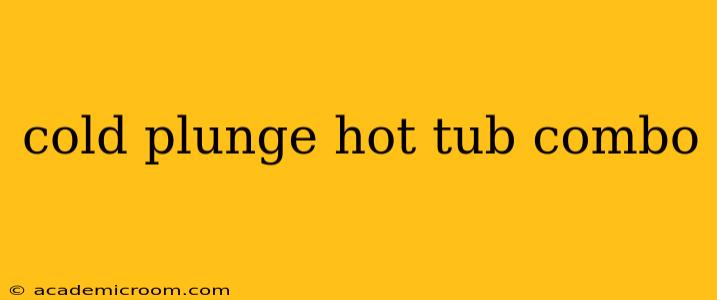 cold plunge hot tub combo