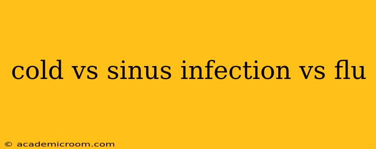 cold vs sinus infection vs flu
