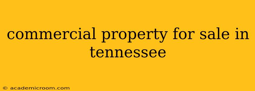 commercial property for sale in tennessee