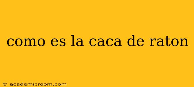 como es la caca de raton