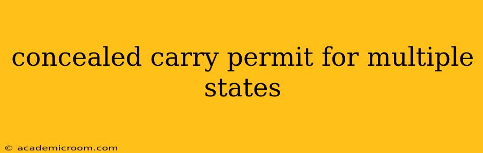 concealed carry permit for multiple states