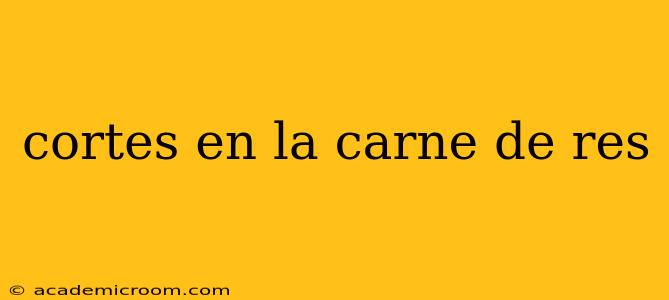 cortes en la carne de res