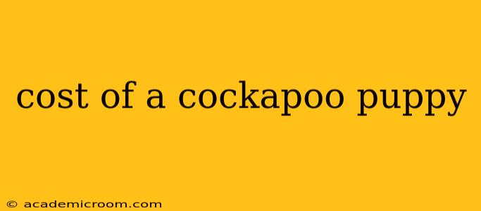 cost of a cockapoo puppy