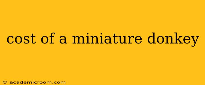 cost of a miniature donkey