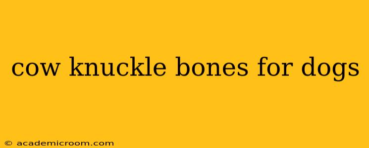 cow knuckle bones for dogs