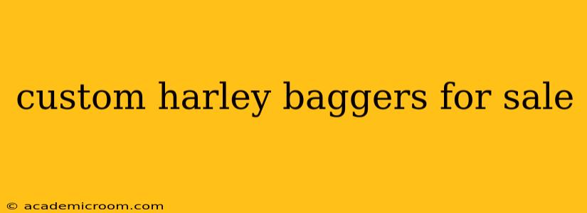 custom harley baggers for sale