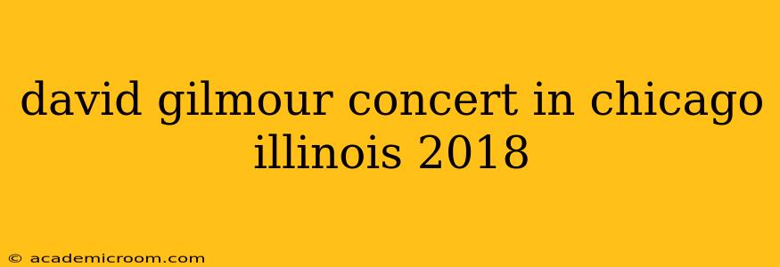 david gilmour concert in chicago illinois 2018
