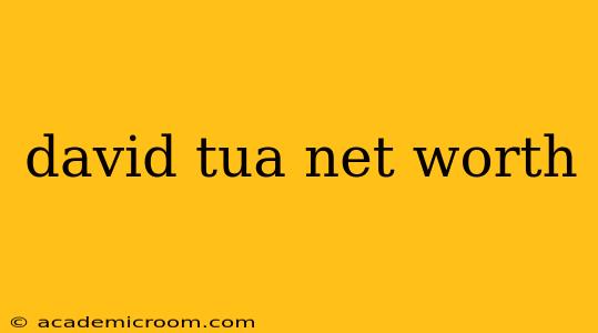 david tua net worth