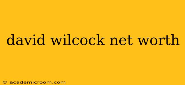 david wilcock net worth
