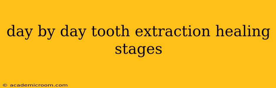 day by day tooth extraction healing stages