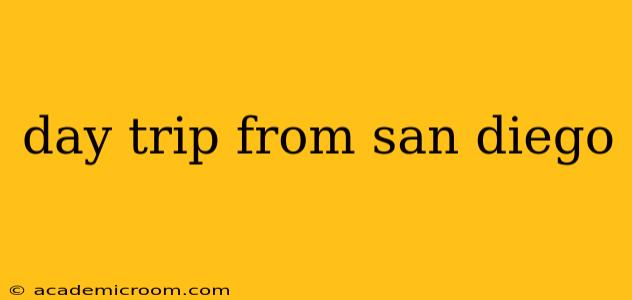 day trip from san diego