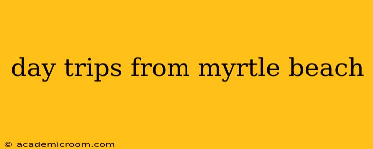day trips from myrtle beach