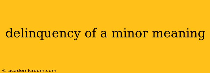 delinquency of a minor meaning