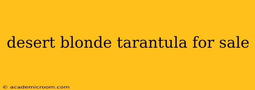 desert blonde tarantula for sale
