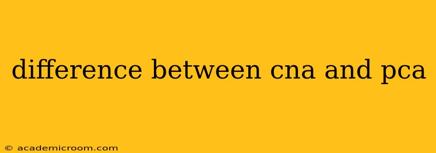 difference between cna and pca