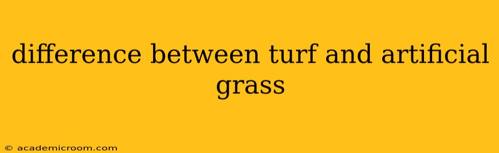 difference between turf and artificial grass