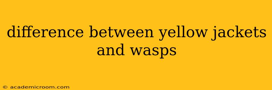 difference between yellow jackets and wasps