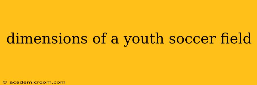dimensions of a youth soccer field