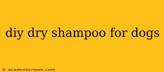 diy dry shampoo for dogs