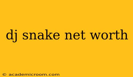 dj snake net worth