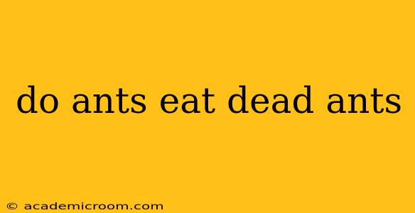 do ants eat dead ants
