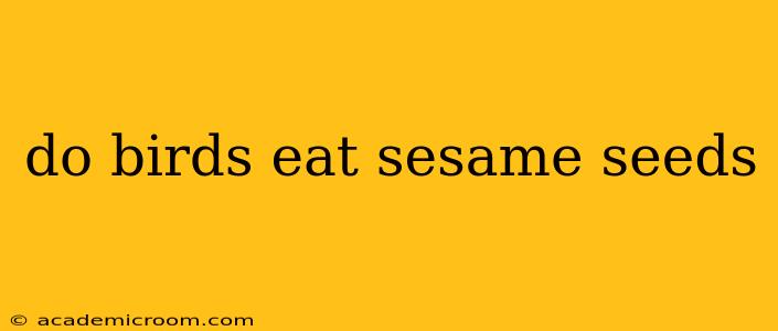 do birds eat sesame seeds