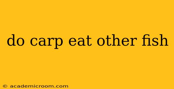 do carp eat other fish
