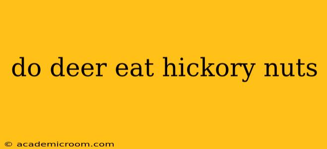 do deer eat hickory nuts