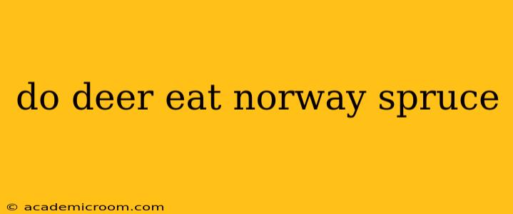do deer eat norway spruce