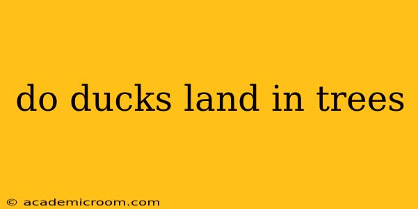 do ducks land in trees