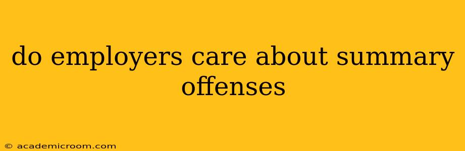 do employers care about summary offenses