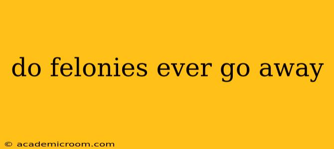do felonies ever go away