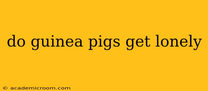 do guinea pigs get lonely