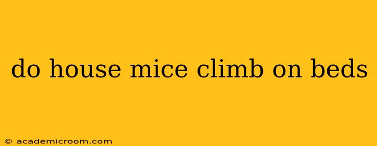 do house mice climb on beds