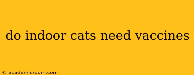 do indoor cats need vaccines