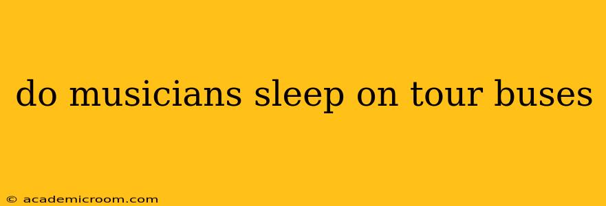 do musicians sleep on tour buses
