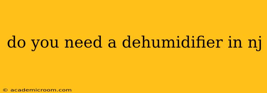 do you need a dehumidifier in nj