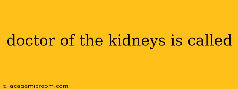 doctor of the kidneys is called