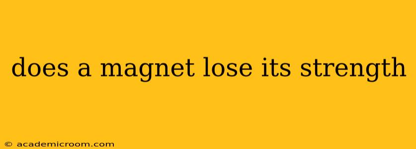 does a magnet lose its strength