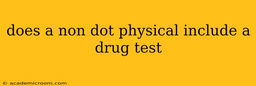 does a non dot physical include a drug test