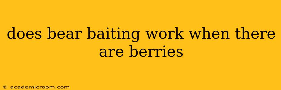 does bear baiting work when there are berries