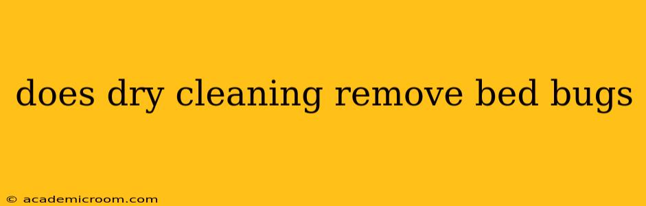 does dry cleaning remove bed bugs