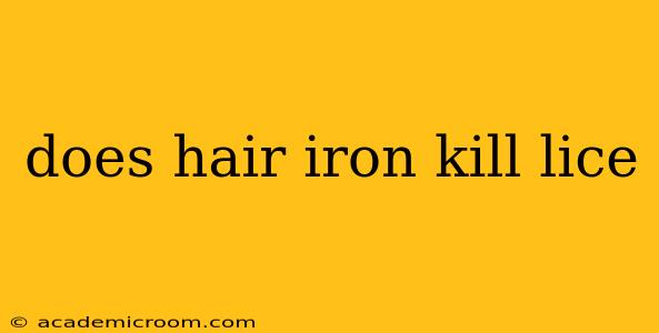 does hair iron kill lice
