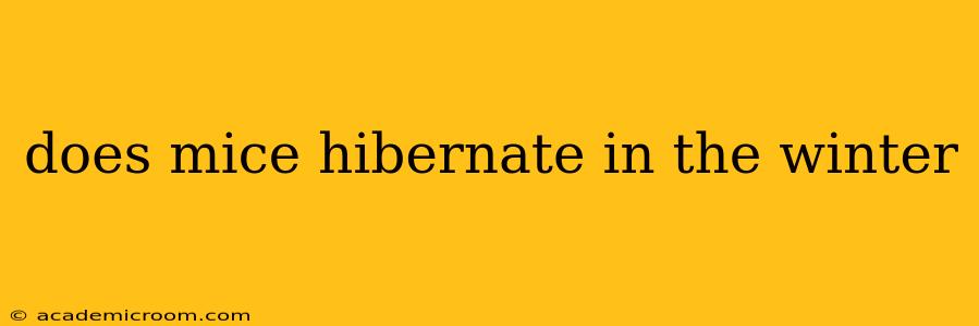 does mice hibernate in the winter